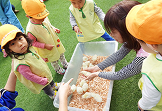 行事は幼稚園と一緒に
